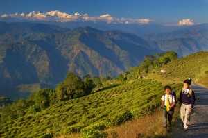 Darjeeling  (Source)