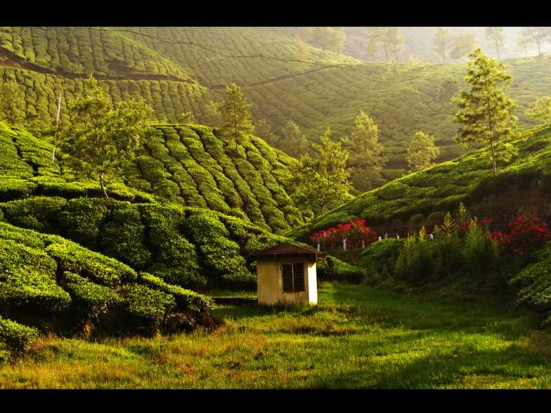 Munnar, places to visit in march in India