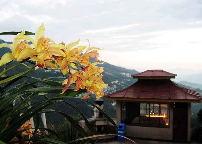 Talasari Beach, Romantic Getaways from Kolkata, Romantic Places Near Kolkata, Valentine's Day
