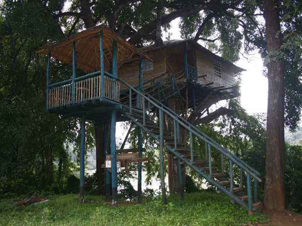 Top 10 Tree Houses In India Of Nests And Hideouts Hornbill Tree House Resorts In India