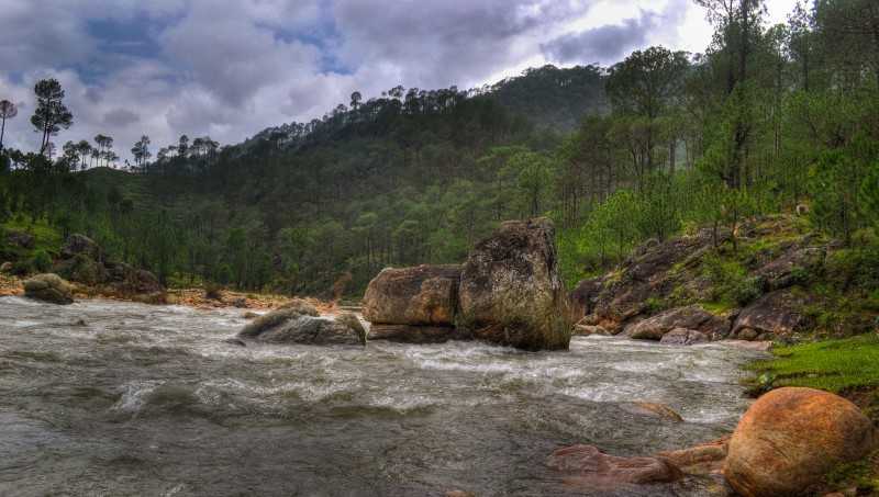 Almora being itself - Source