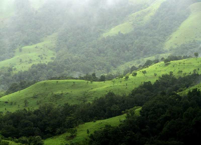 Best Places near Bangalore for Summers, kudremukh