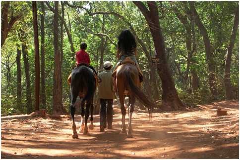 Horse Rides In Matheran