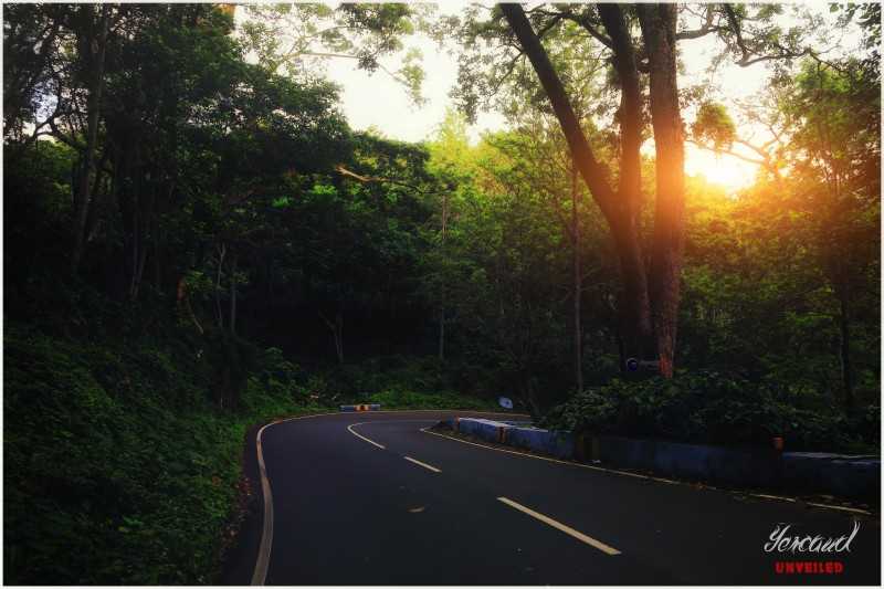 Best Places near Bangalore for Summers, yercaud