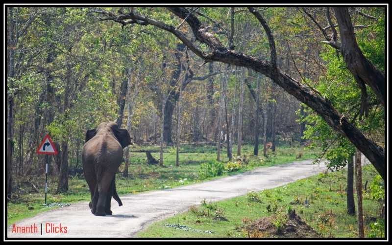 Best Places near Bangalore for Summers, nagarhole
