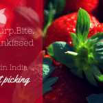 Of fruits and orchards: Best places for fruit picking in India