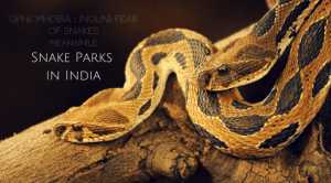 snake parks