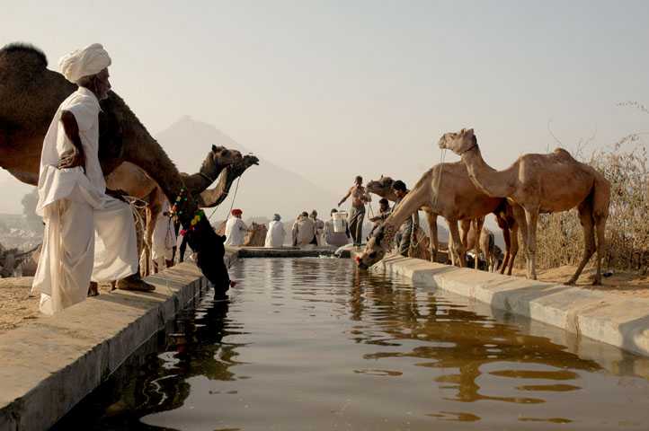 Fairs and Festivals in November in India