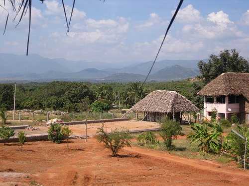 Meenakshi Yoga Ashram, Yoga in India