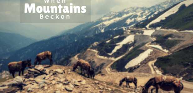 When the Mountains Beckon