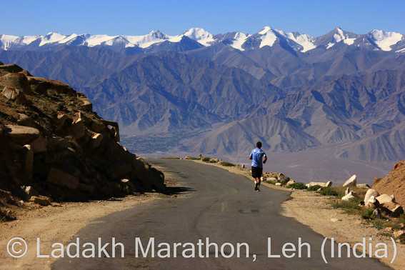 Ladakh marathon september festivals in india