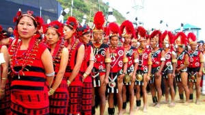 november festival