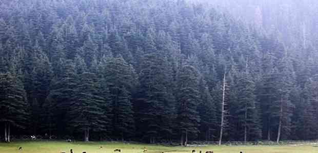 Nature and Adventure at Khajjiar #TWC