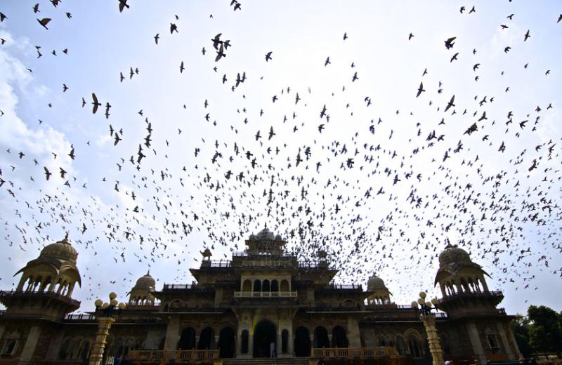 October 15 – The central library of Jaipur
