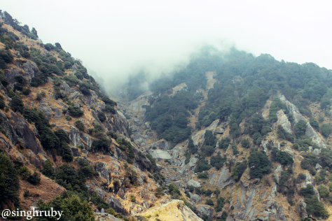 The fog making its way.