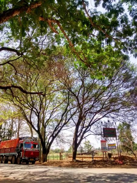 The view that welcomed me when I stepped of the bus from Raipur