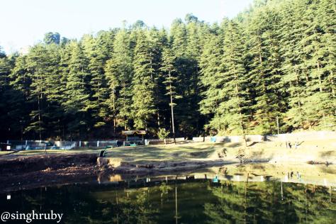 Dal lake