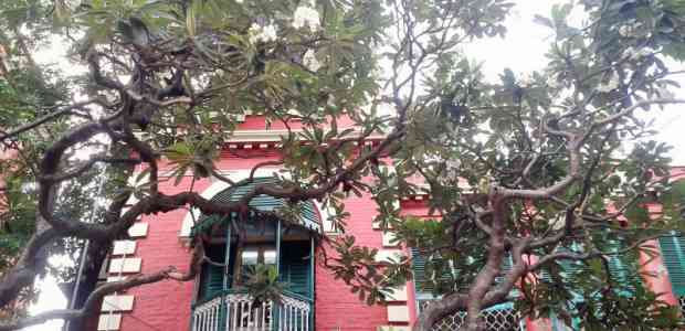 6 Interesting and Unique finds in Kolkata #TWC