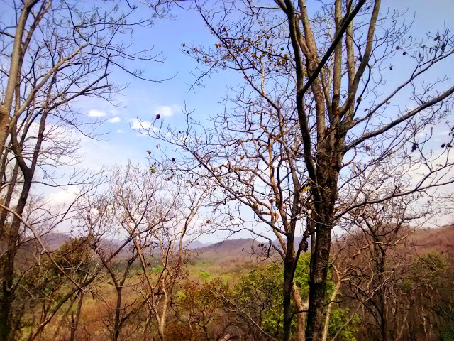Yonder where the hills beckon me