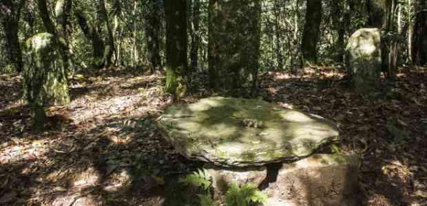 The Secrets of the Monoliths in Meghalaya #TWC