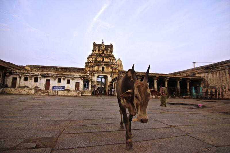 September 26th – The ruins of Hampi, Karnataka.