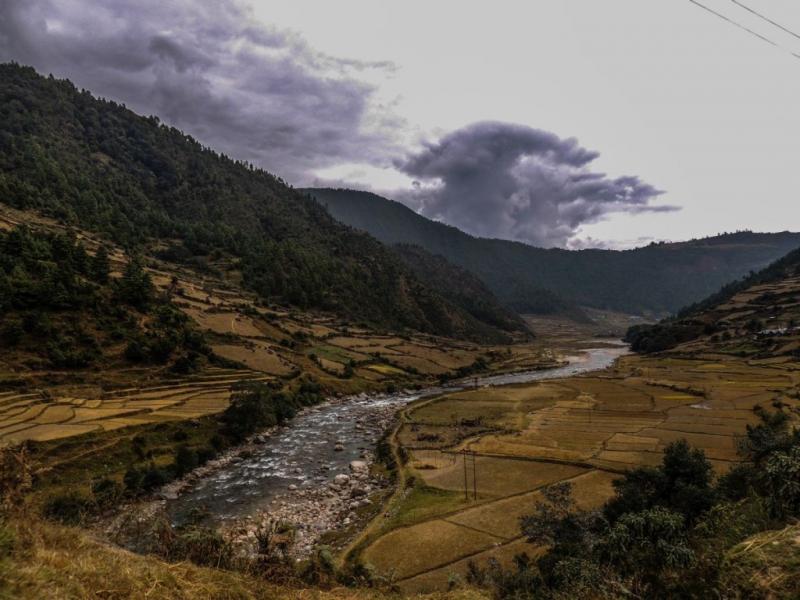 Fields in Arunachal Pradesh