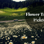 The flowering delights of India – Flower Trails