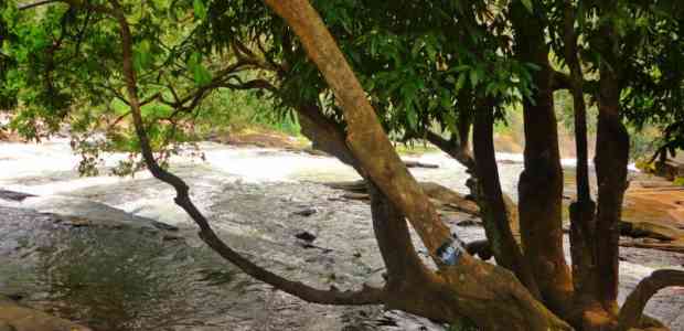 Athirapally And Vazhachal Falls – A Trip To Remember! #TWC