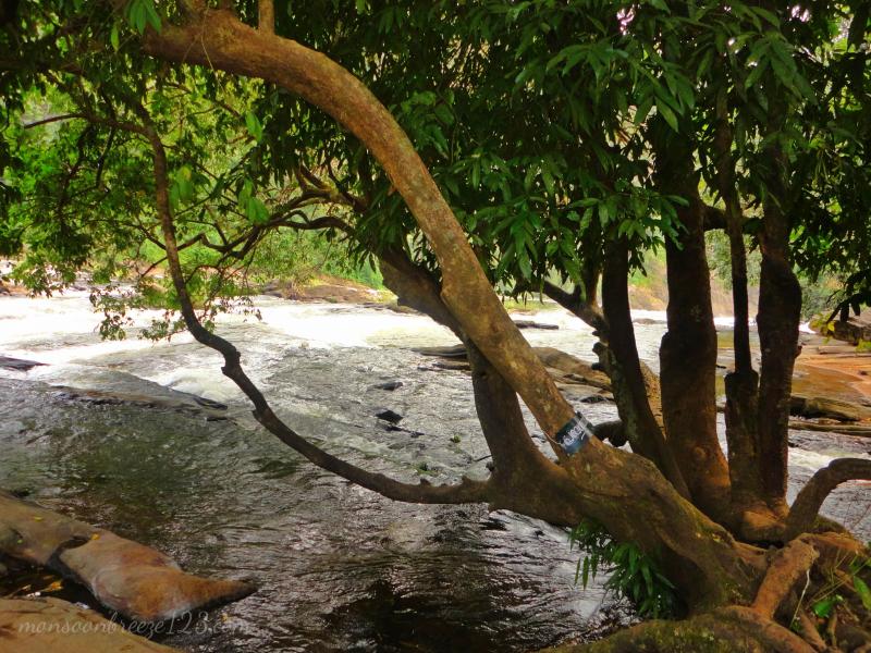 At Vazhachal Falls