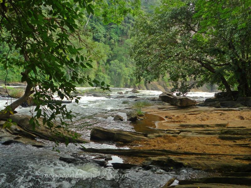 At Vazhachal Falls