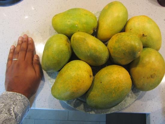 Biggest mangos on the camera