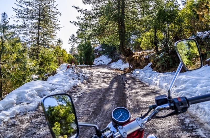 Joshimath to Auli