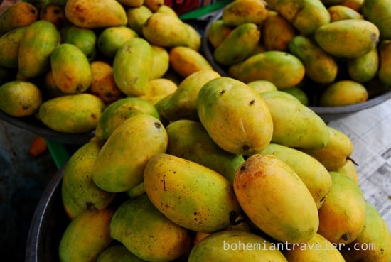 Kesar Mangoes, Mango in india