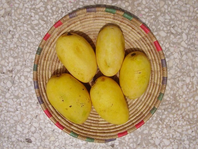 Chausa Mangoes, Mango in india