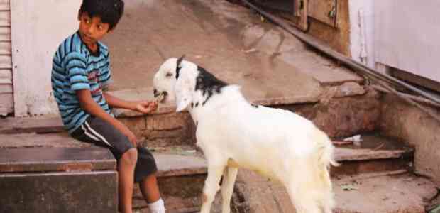 Ajmer: In Search Of God #TWC