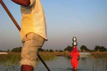 Nal Sarovar Bird Sanctuary #TWC