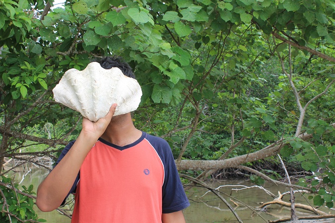 A massive seashell, bigger than a person's face!