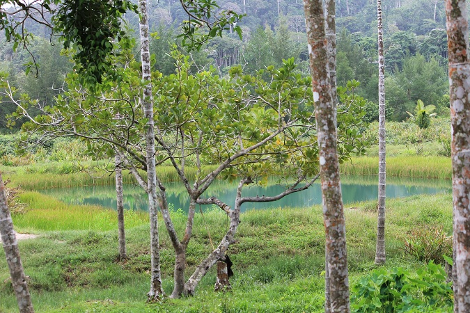 The unexplored Andaman Landscape