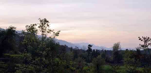 Palampur Diaries 