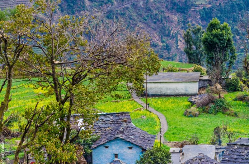 Saari gaon landscape