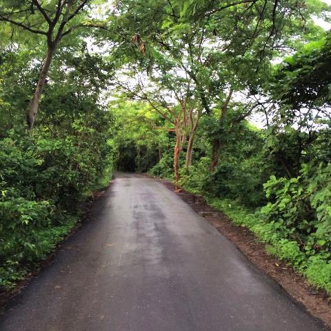 Aarey Milk Colony, Mumbai Haunted places