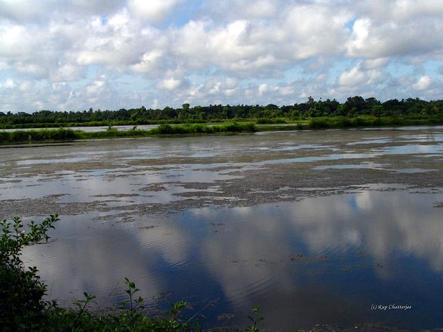 Taki - a rural getaway from Kolkata
