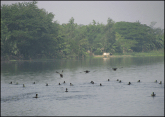 Piyali Islands.