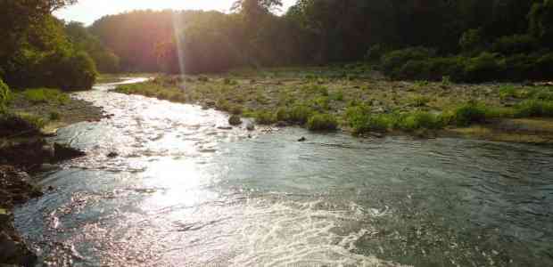 Jim Corbett National Park : Not Just Another Weekend Getaway