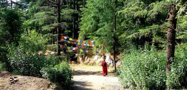 Little Tibet - Mcleod, with love.