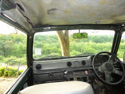 That feeling when you can park you Jeep anywhere in the wilderness, and just take the 'Green' in.