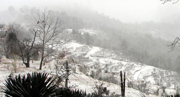Almora, Snow places in India