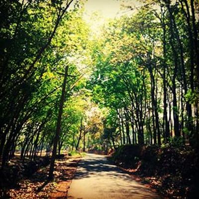 Igorchem Bandh, haunted places in Goa