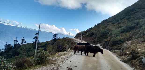 On a Trip to the Hidden and Blessed Land of Tawang