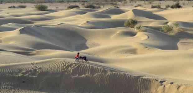 Oasis at Khuri